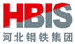 HBIS